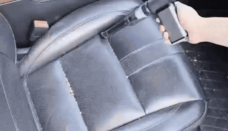 F120260227184601.gif