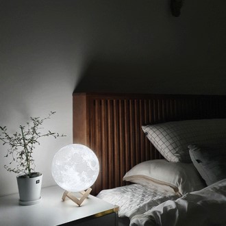 ���ڶ� ������ �޹���� 3�� 13cm // �����ħ�� ���ΰ���