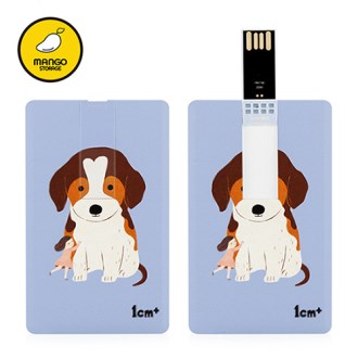 �������丮�� ī���� USB �޸� 16GB
