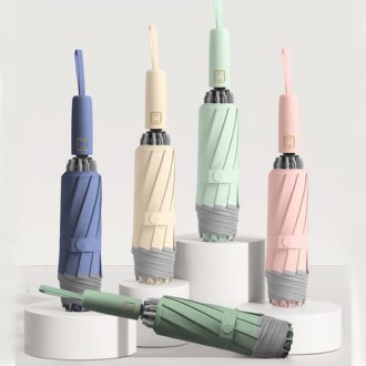 �Ųٷ� 3�� ���� �ڵ���� Ư����ǰ �� �Ľ���